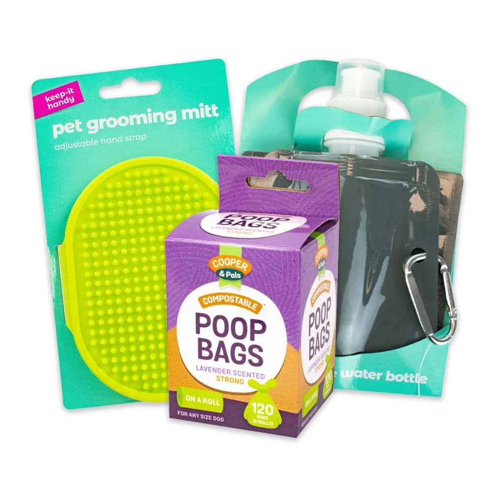 Pet Accessories