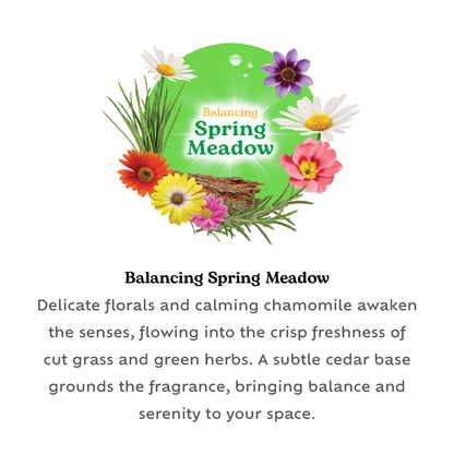 Plug-in 20ml refill Spring Meadow